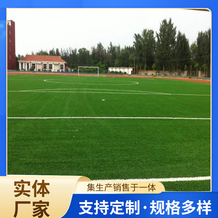 太原市学校塑胶跑道人造草坪 - 排名